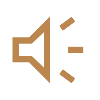 Why Choose Us Icon